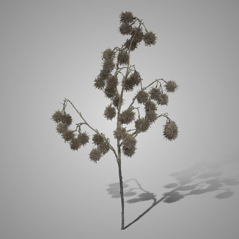 Fall faux quatro fructus, 95cm