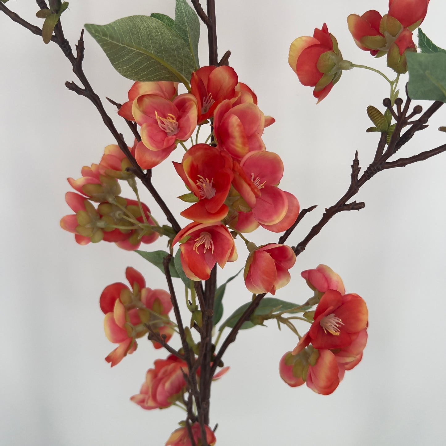 Flower blossom sakura orange, 123cm