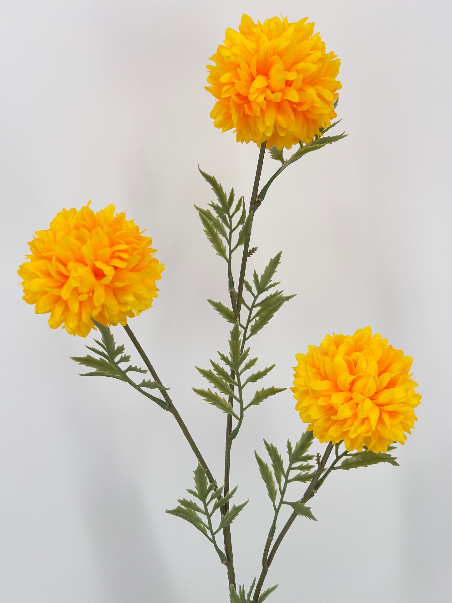 Tagetes tak 80cm geel, oranje of rood x3, 80cm