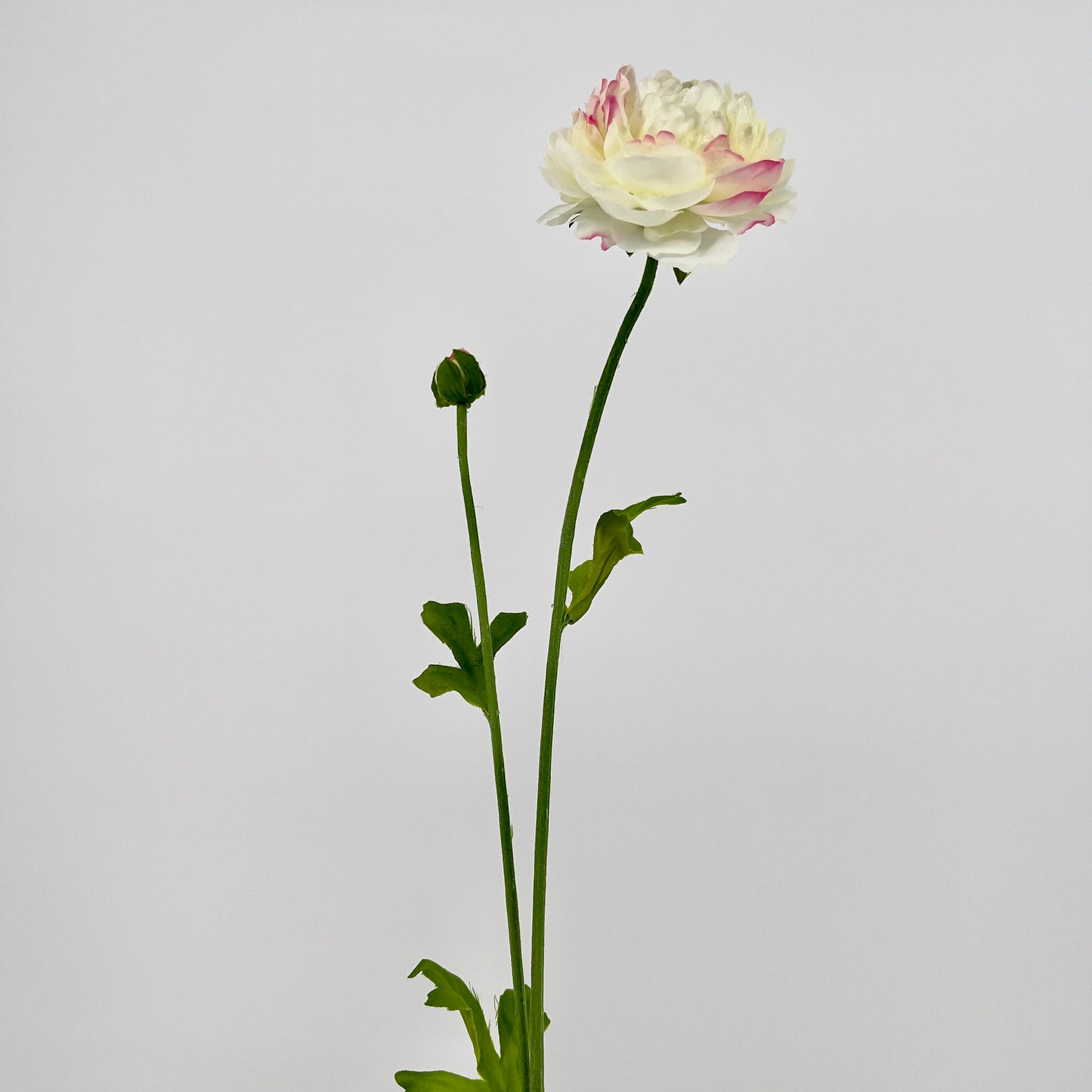 Silk-ka Ranonkel steel creme, 64cm