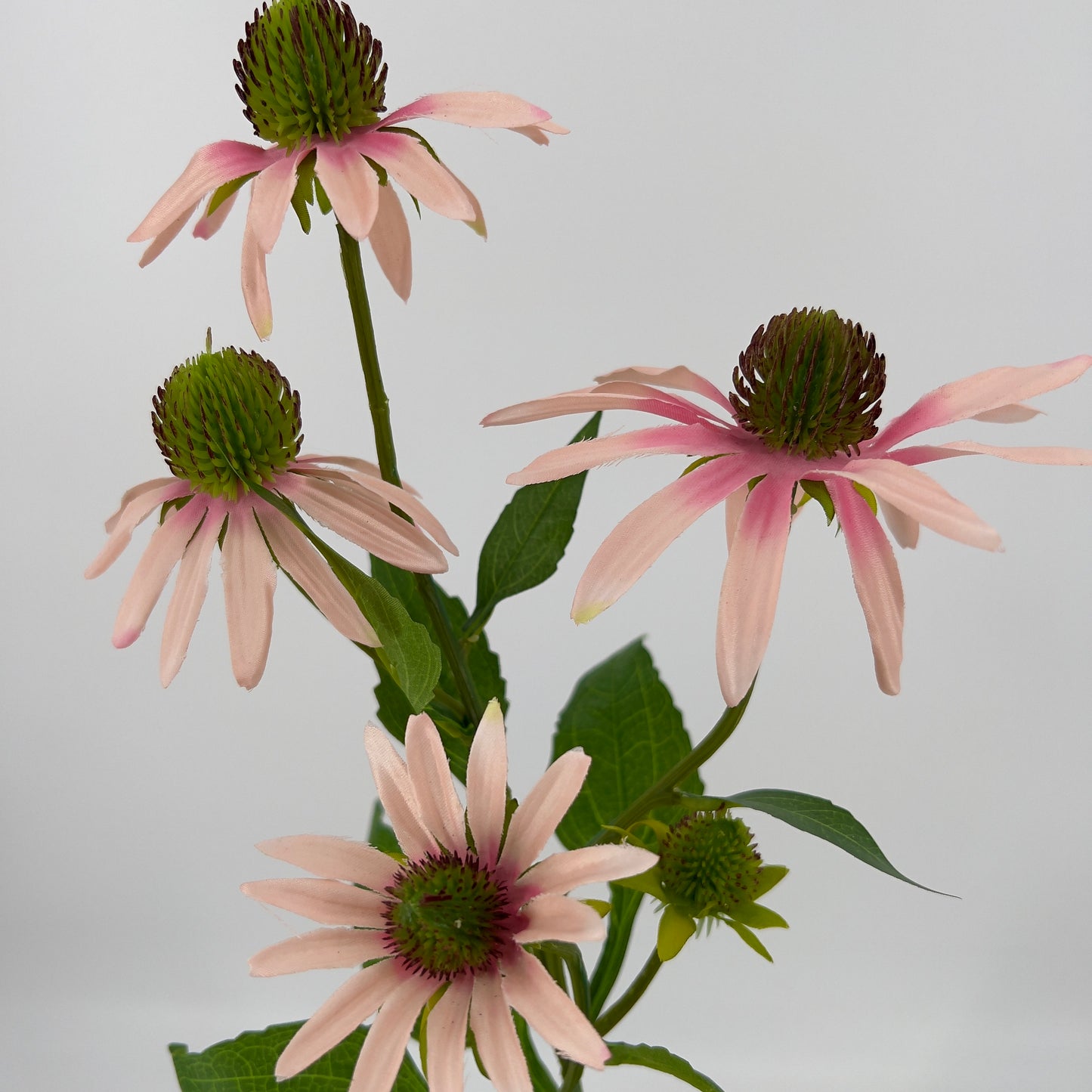 Rudbeckia/Zonnehoed spray geel en roze, 73cm