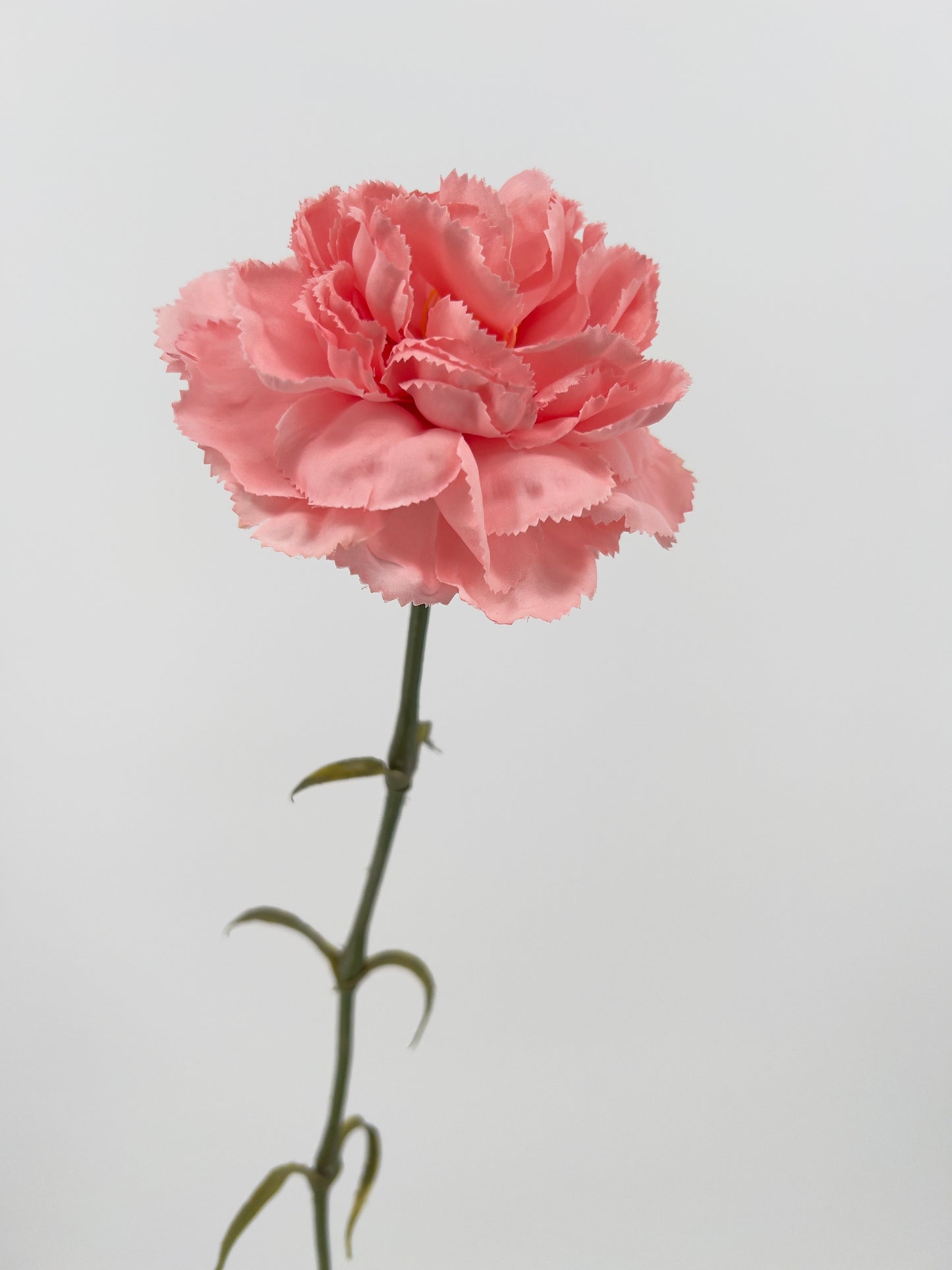 Kunsttak Carnation/Anjer in roze, 60cm
