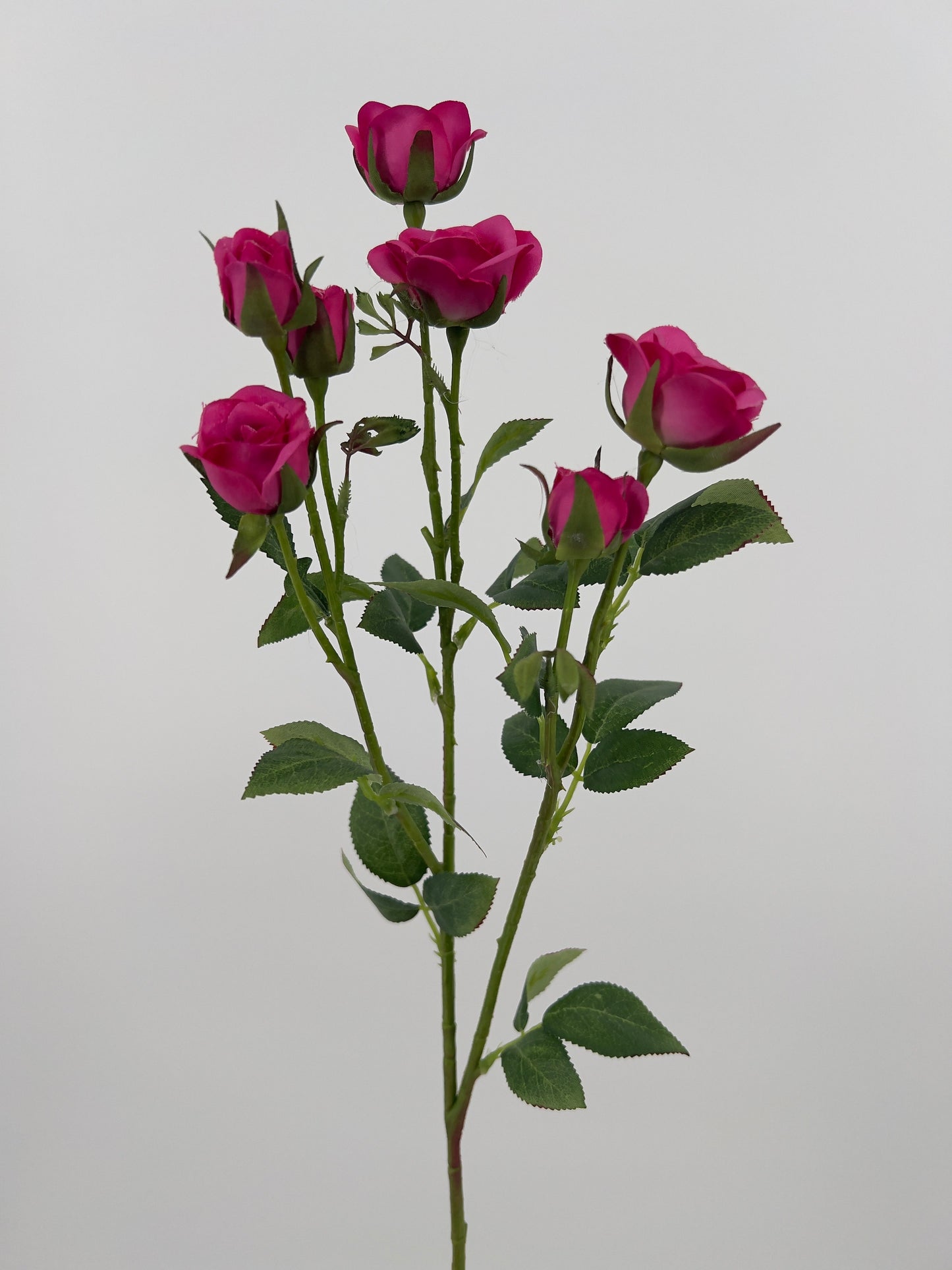 Rose/rozen spray in oranje of fuchsia, 71cm