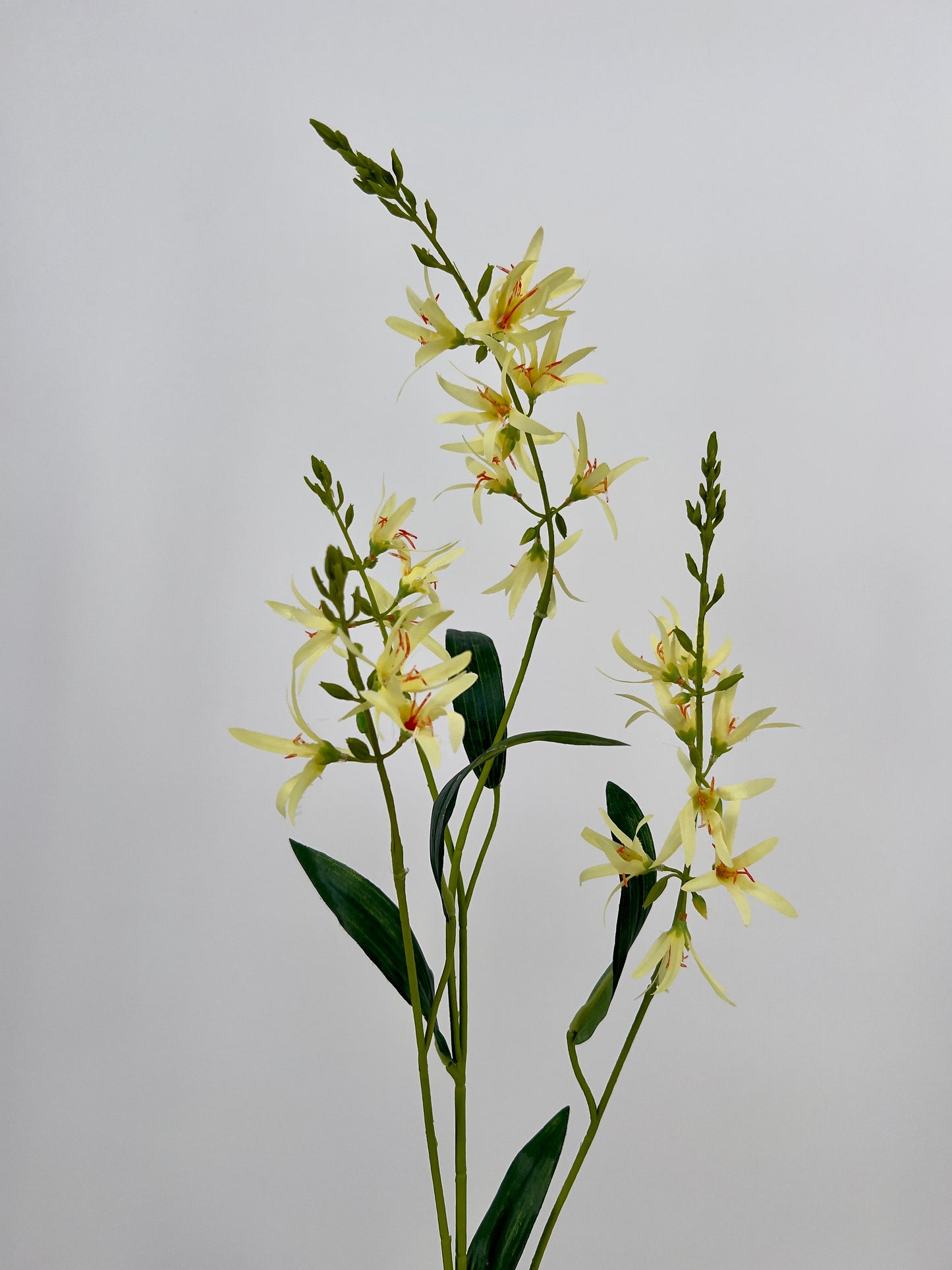 Silk-ka Eremurus spray in beauty, perzik of geel, 101cm