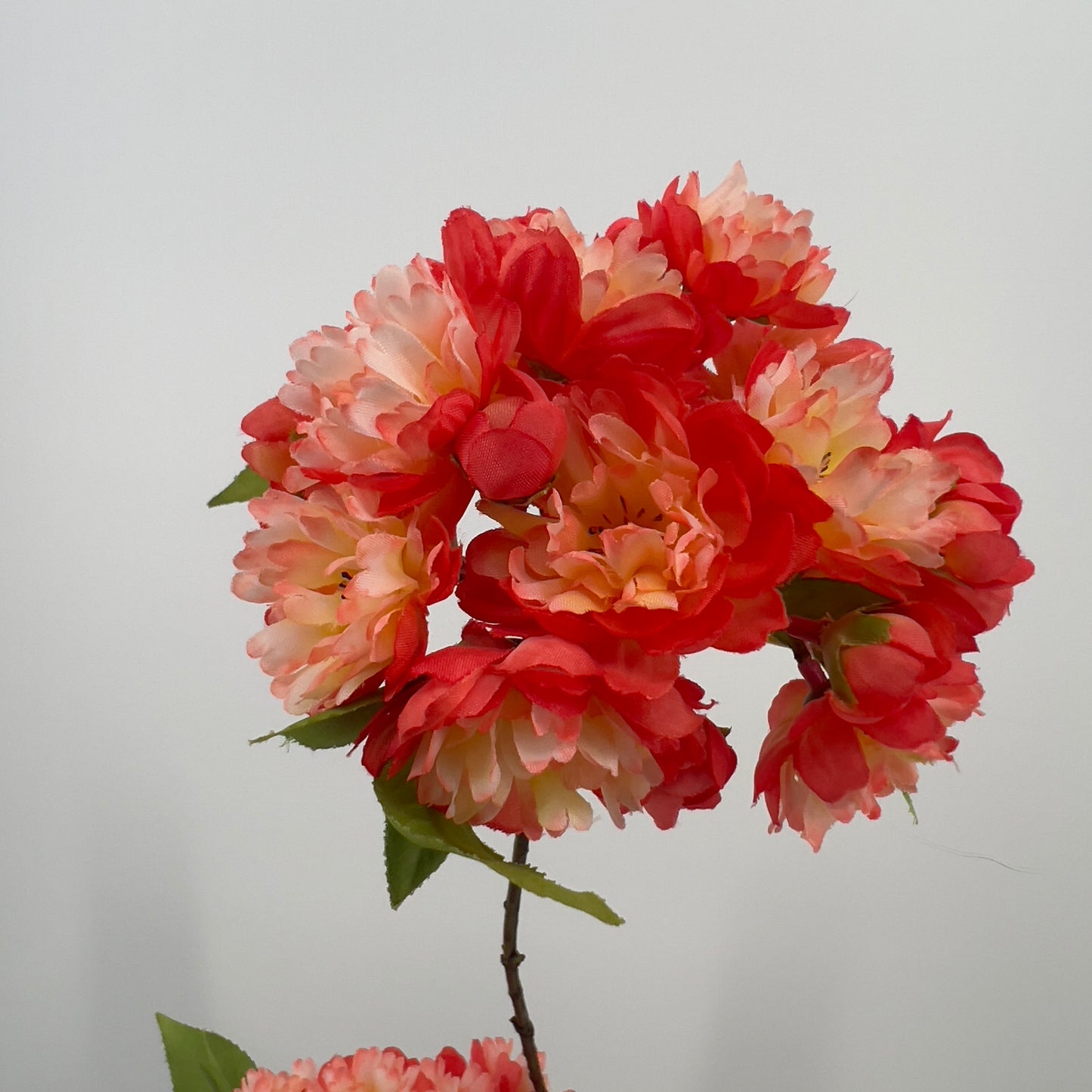 Silk-ka Bloesem kunsttak oranje/zalm, 72cm