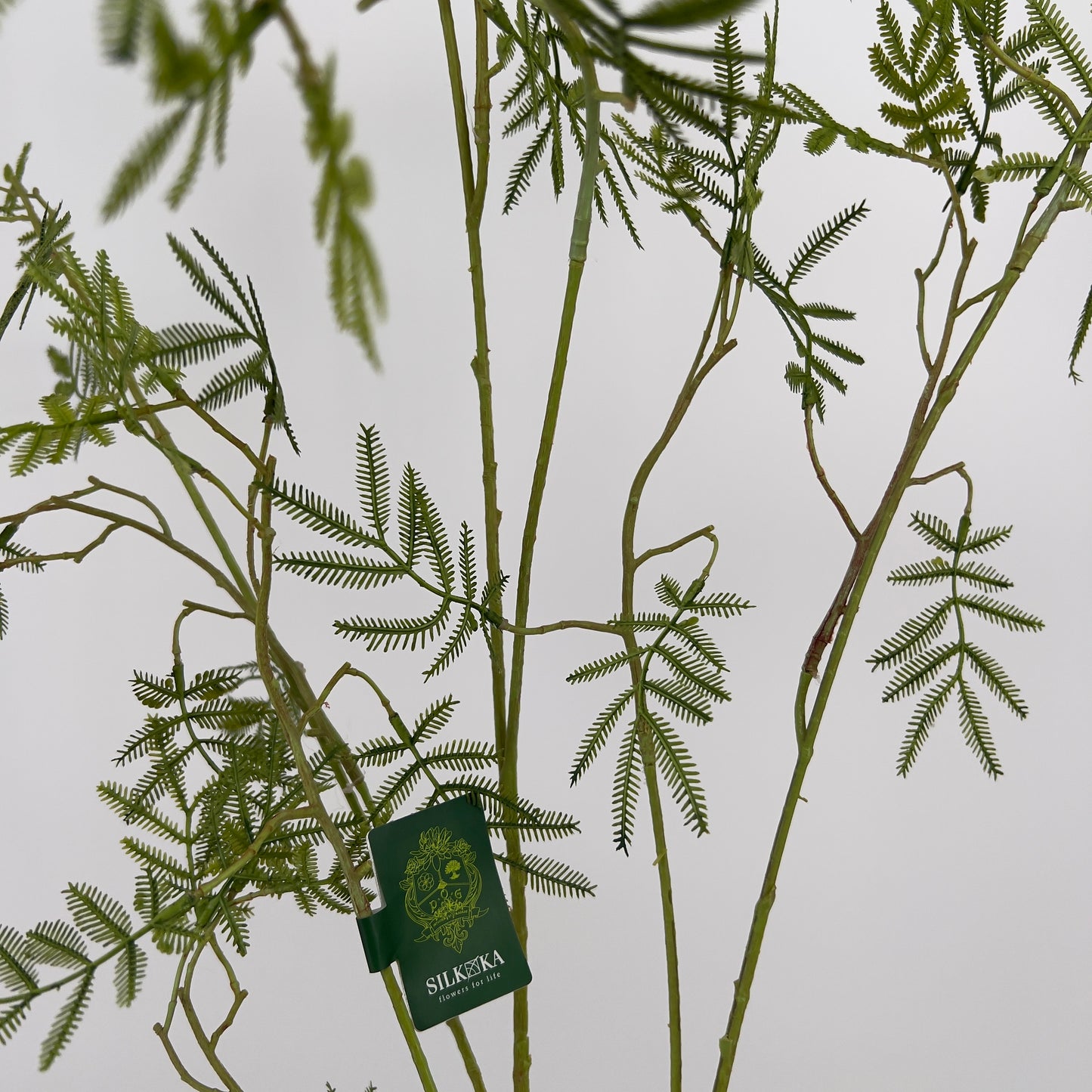 Silk-ka Mimosa groentak, 127cm