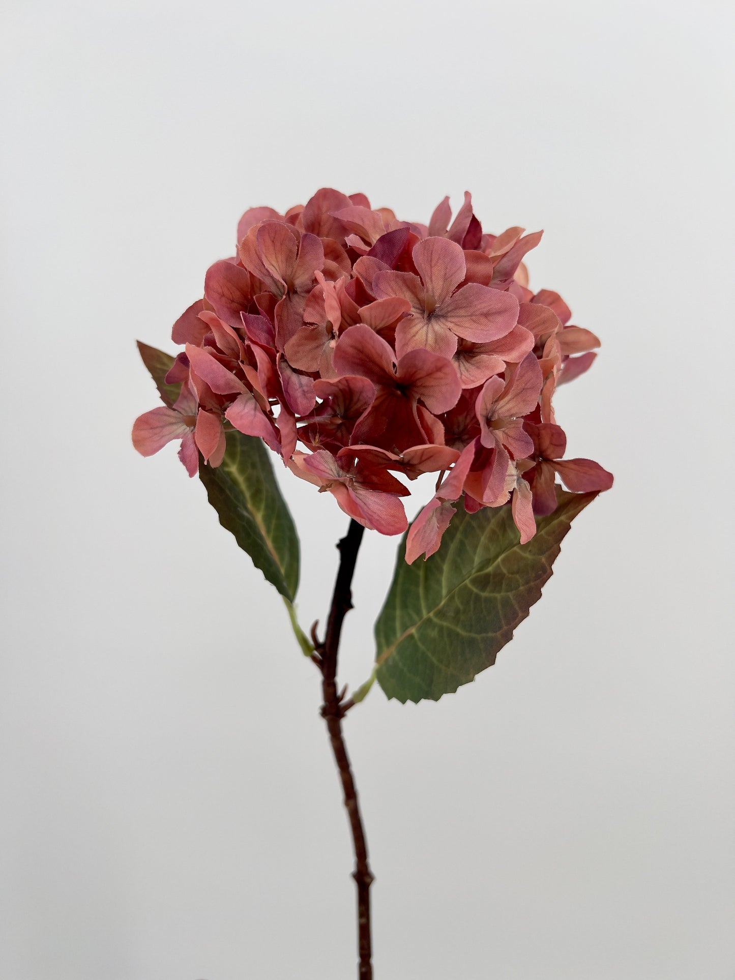 Hydrangea Aletta in oud roze, 40cm