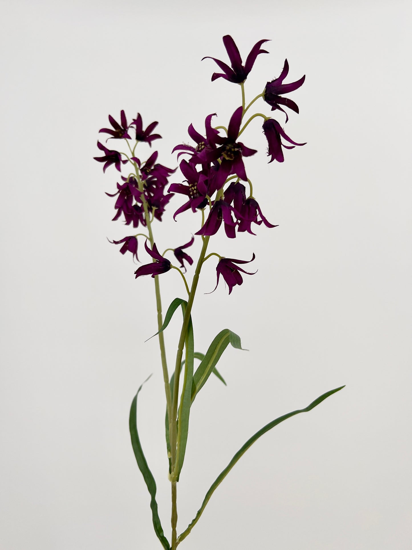 Flower campanula dark purple, 59cm