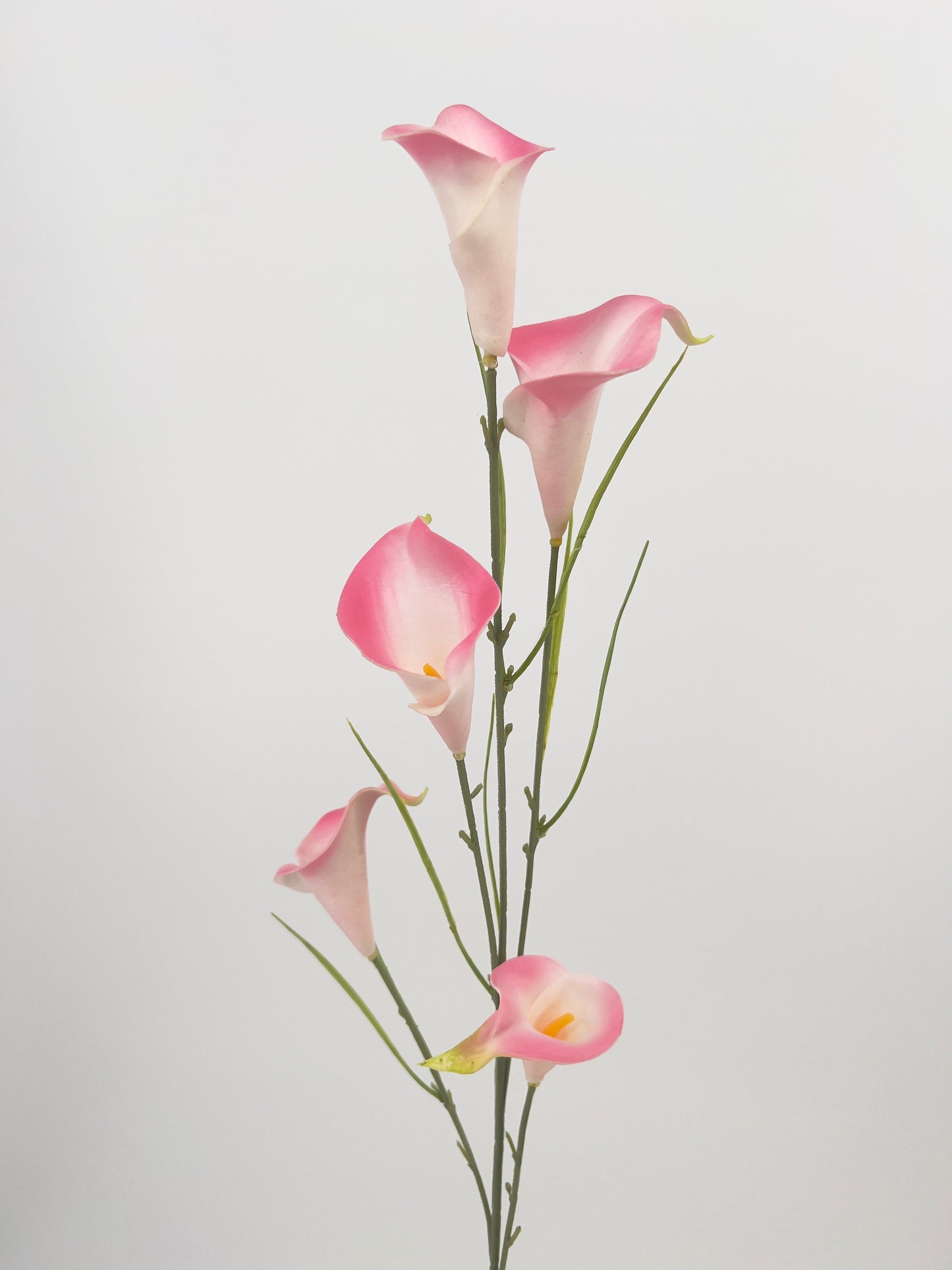 Calla spray met 5 bloemen in diverse kleuren, 85cm