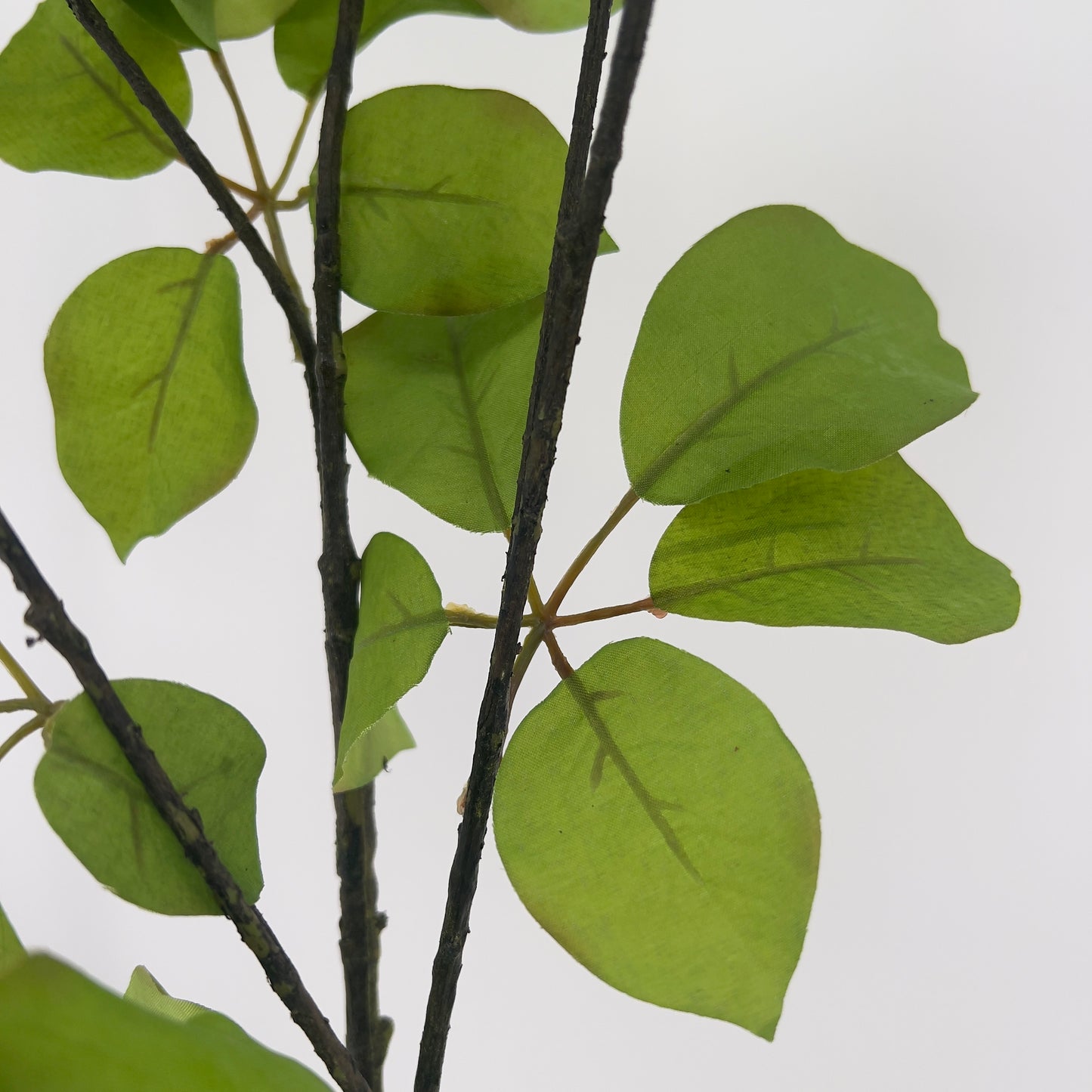 Slk-ka bladtak groen, 120cm