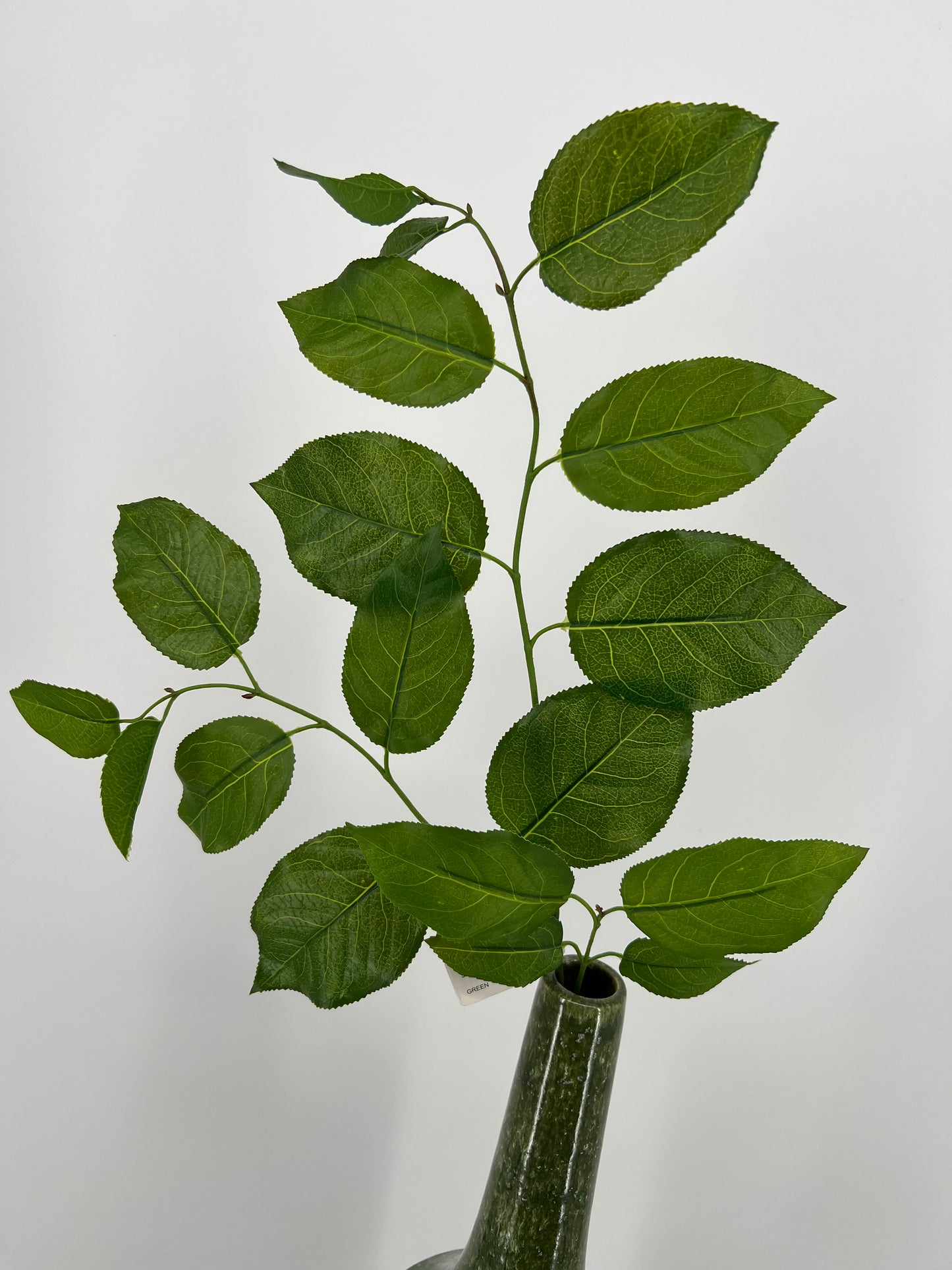 Salal leaf spray, 79cm