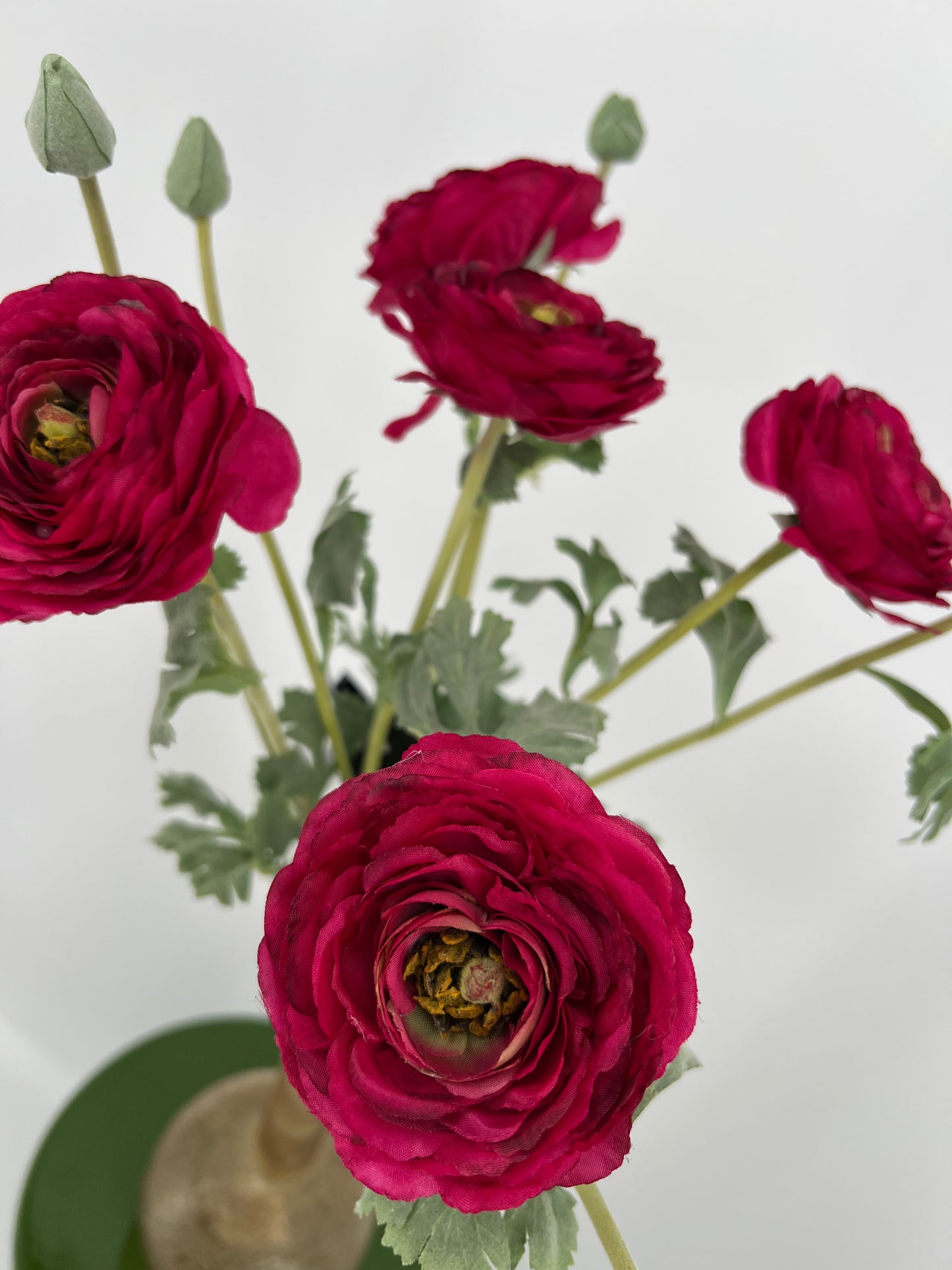Flower Ranunculus dark pink, 68cm