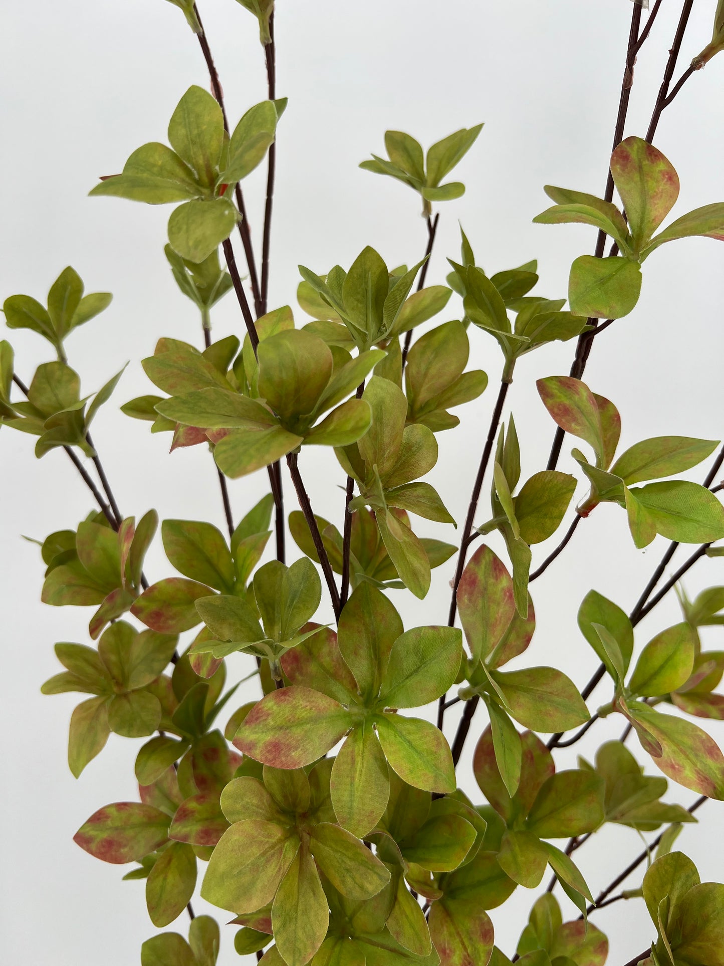 Pieris twig green, 108cm