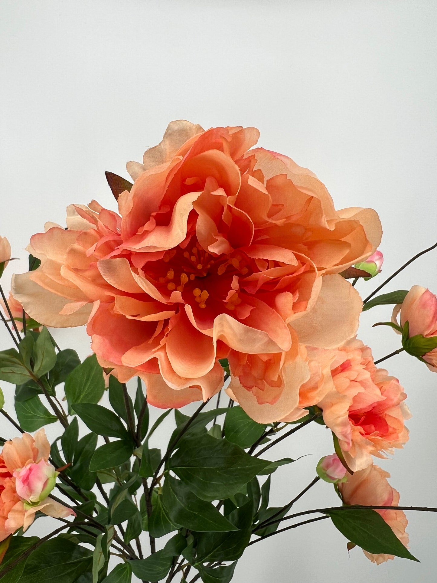 Paeony spray Sapporo peach, 126cm