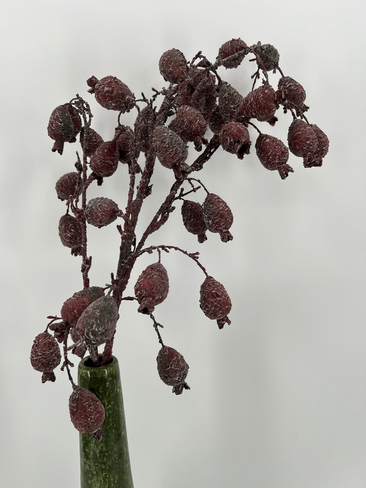 Tak fruit branch 02, 95cm