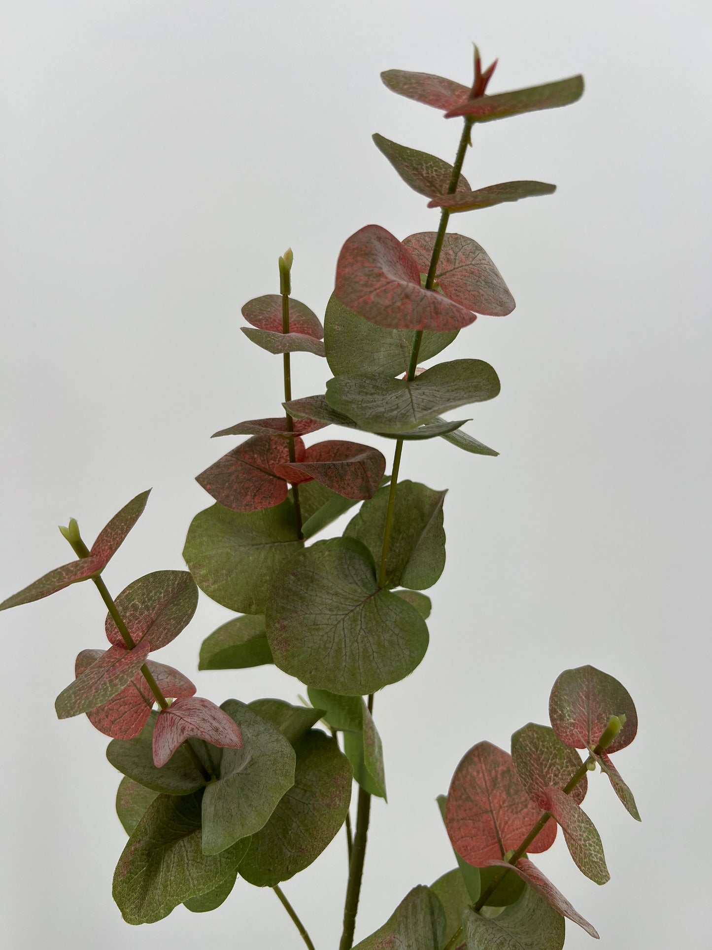 Flower Eucalyptus green/red, 84cm