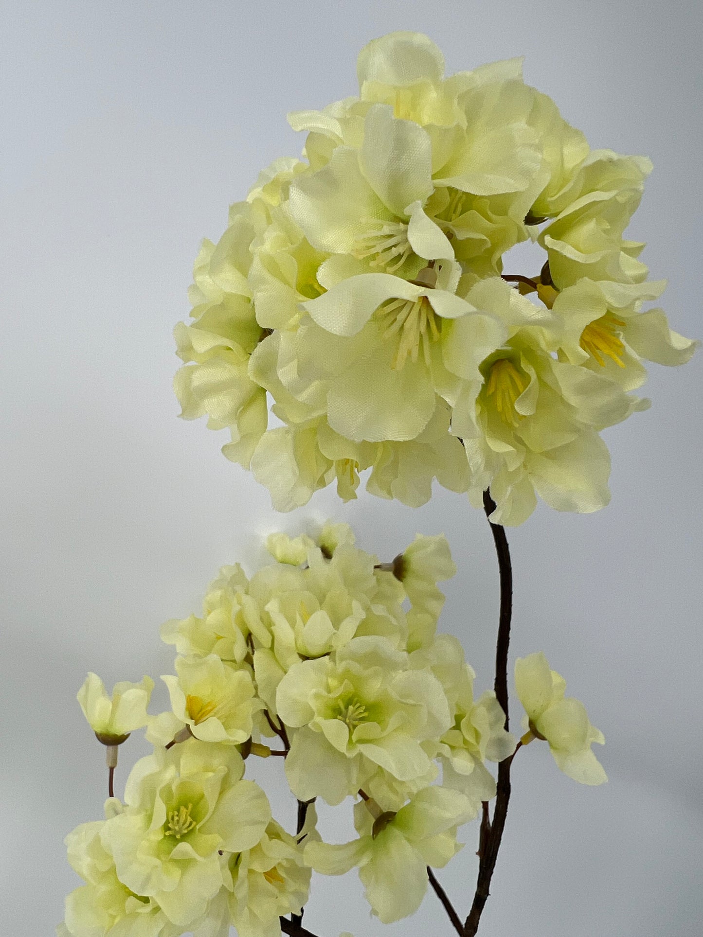 Prunus malaga spray lt green, 126cm