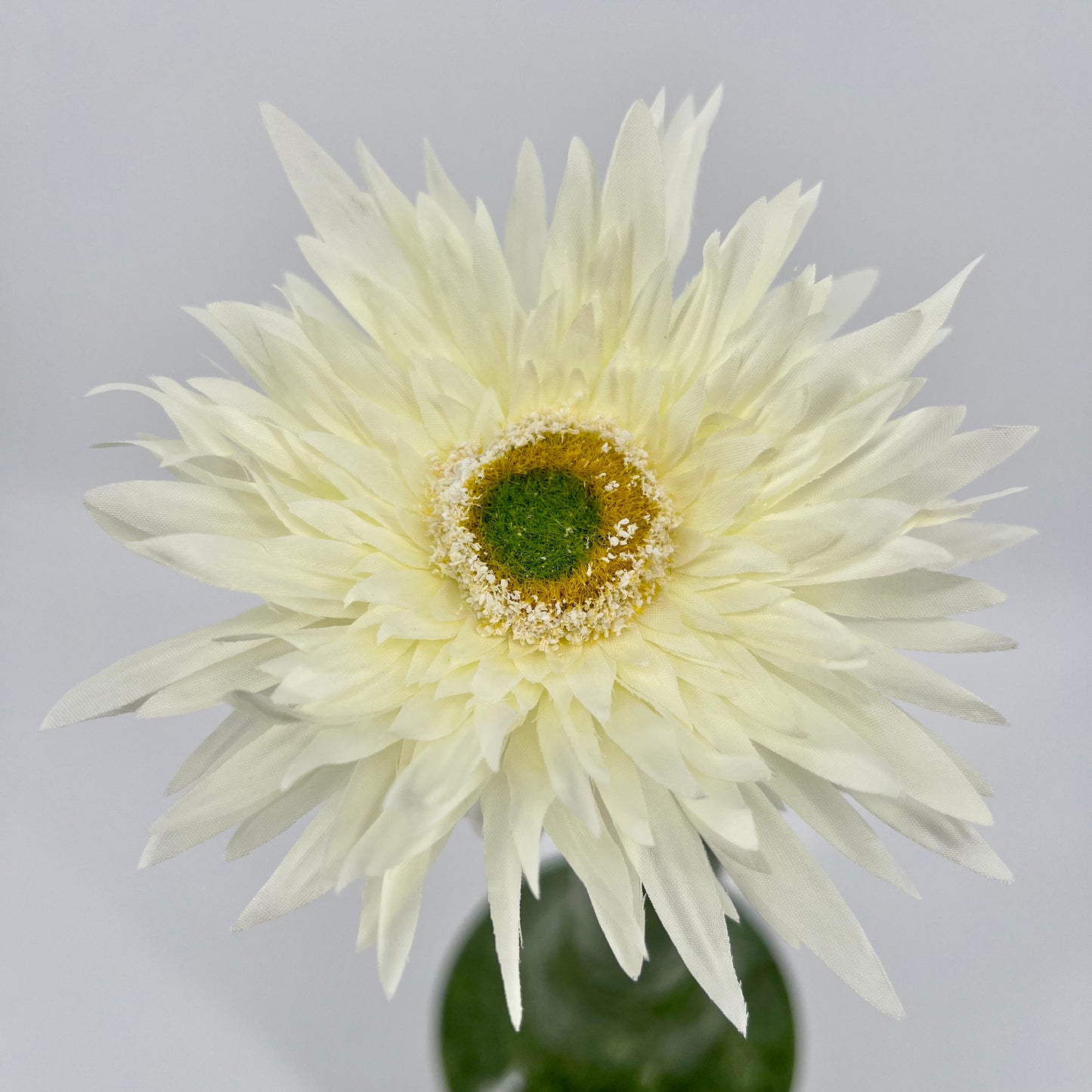 Silk-ka Gerbera's met diameter bloem 12,5cm in 6 kleuren topkwaliteit!, 61cm