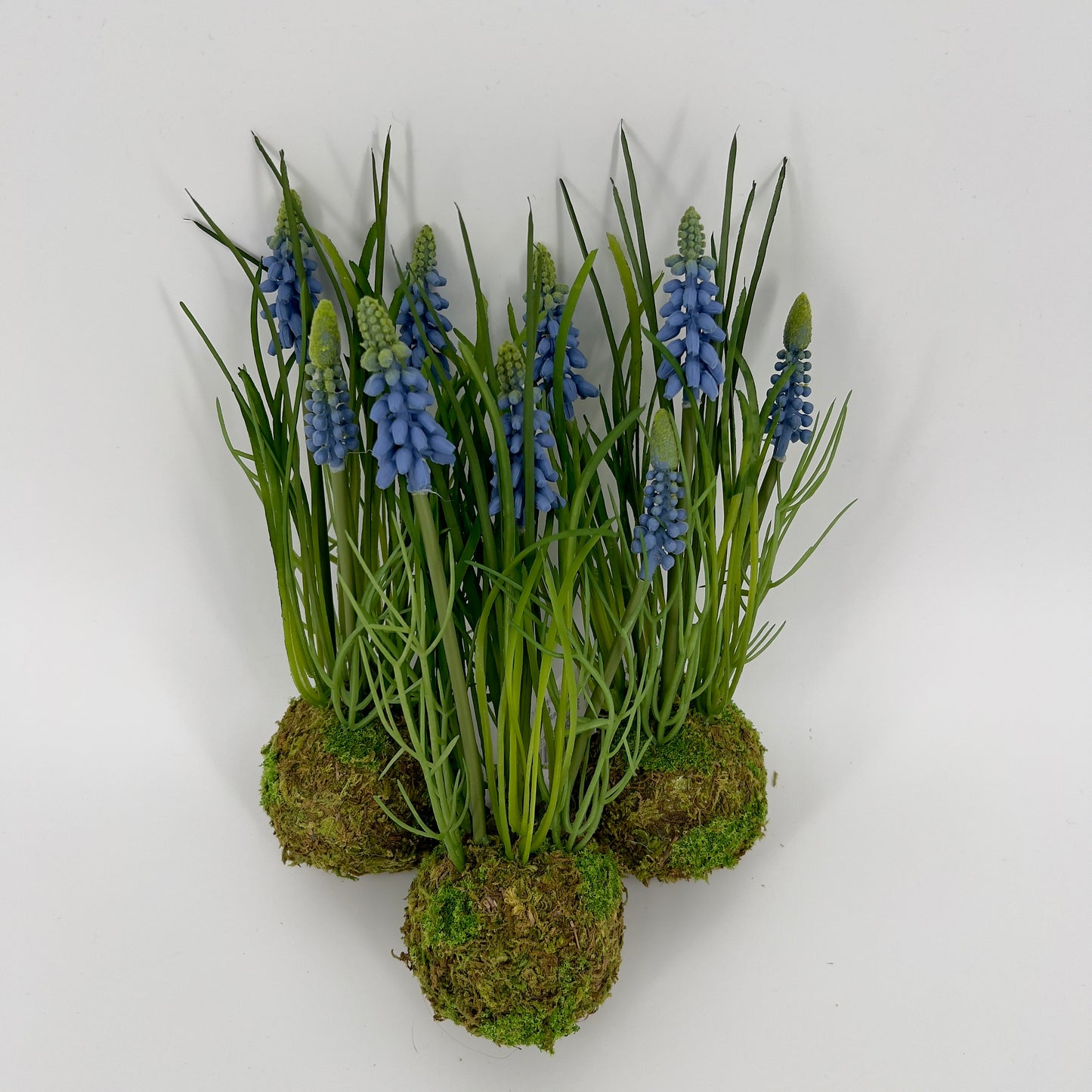 Decoratieve blauwe druifjes vast in "mud ball" met mos , 23/24cm