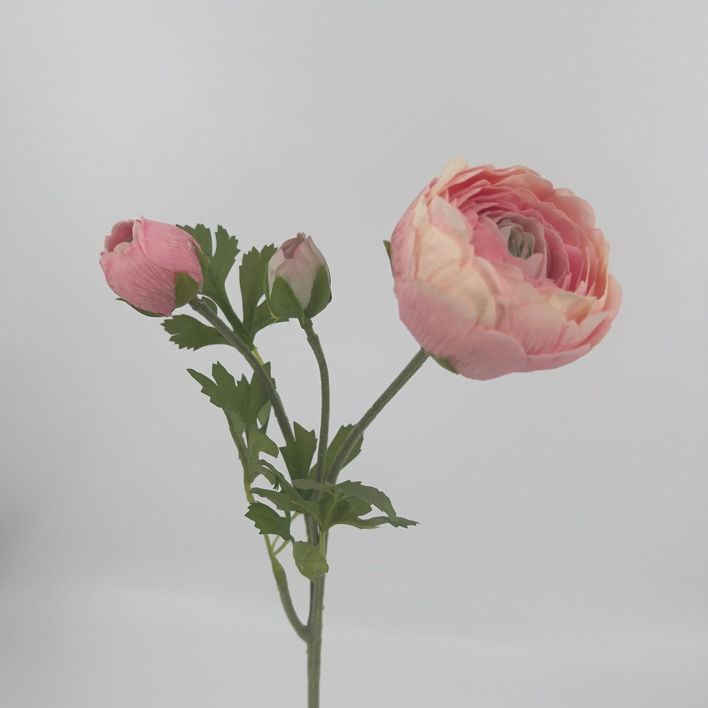 Zijden ranonkels met 2 knopjes in peach en pink real touch, 51cm