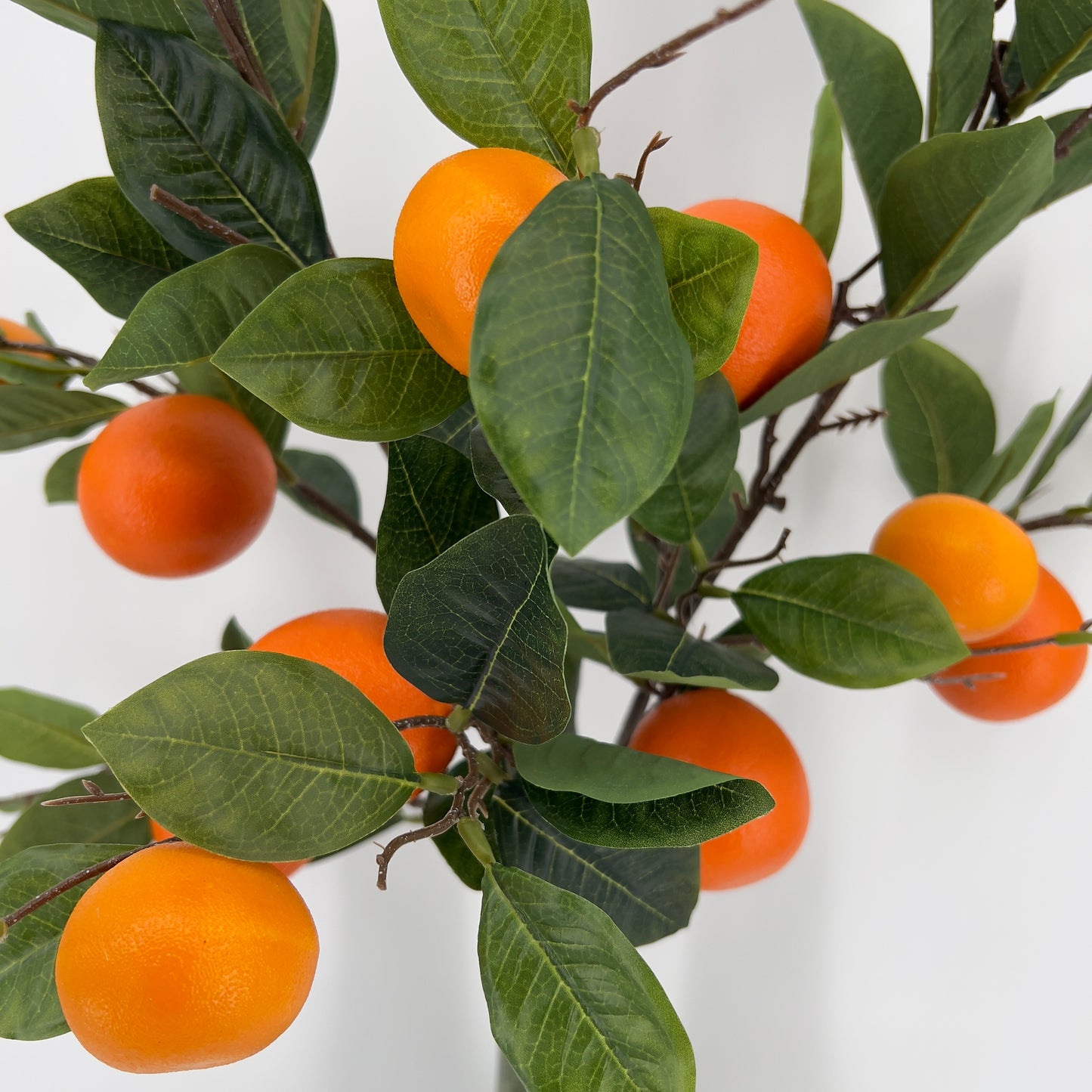 Kunst sinaasappeltak/mandarijntak, 95cm