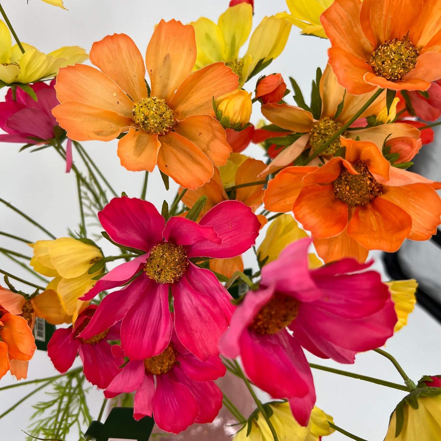 Silk-ka Cosmea, beauty, geel en licht oranje, 92cm