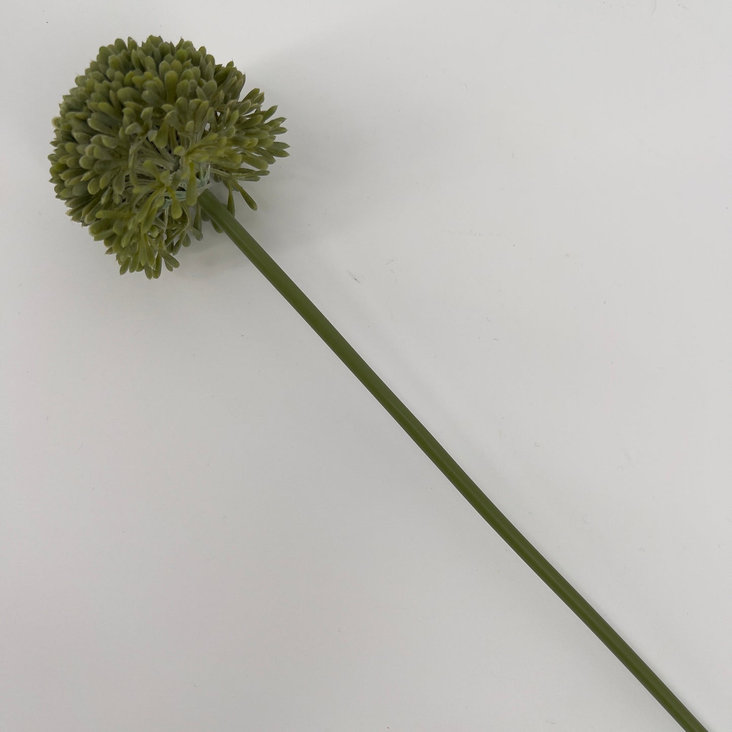 Allium globemaster in diverse kleuren, 45cm