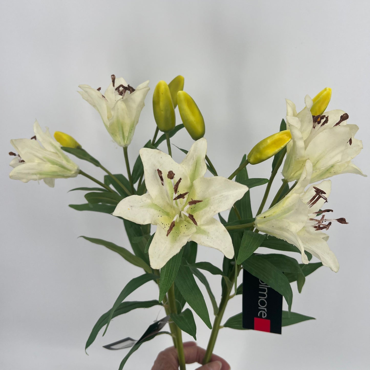 Witte kunst Lelie van Colmore, 79cm