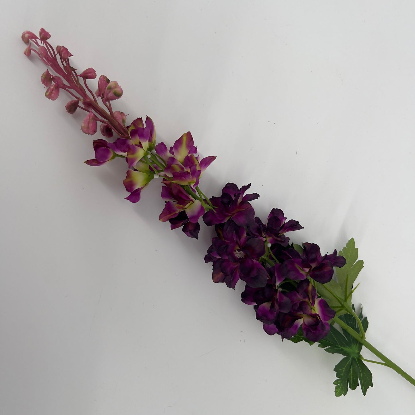 Delphinium purple/paars, 79cm