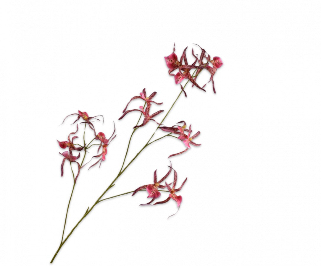 Silk-ka Orchidee in de kleuren oranje, paars/roze en beauty, 108cm