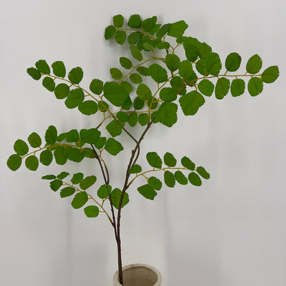 Acacia blad tak groen, 90cm