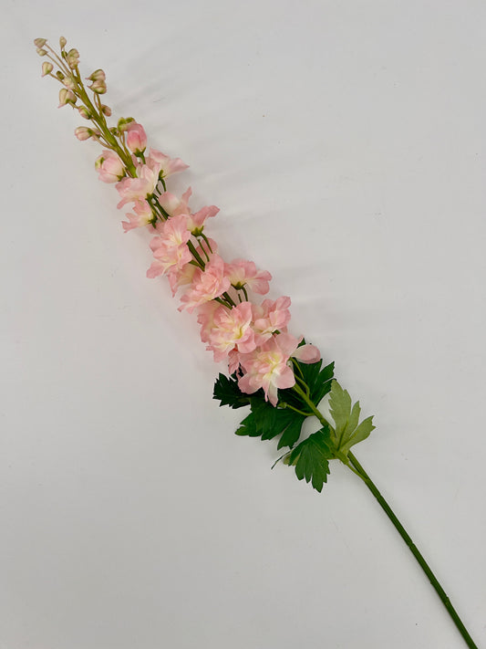 Delphinium light pink, 79cm