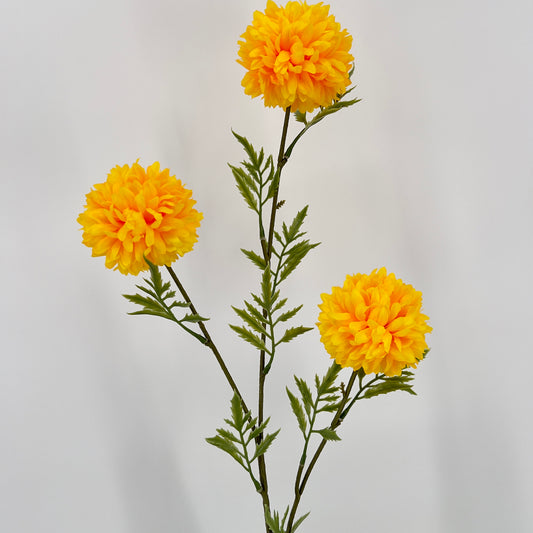 Tagetes tak 80cm geel, oranje of rood x3, 80cm