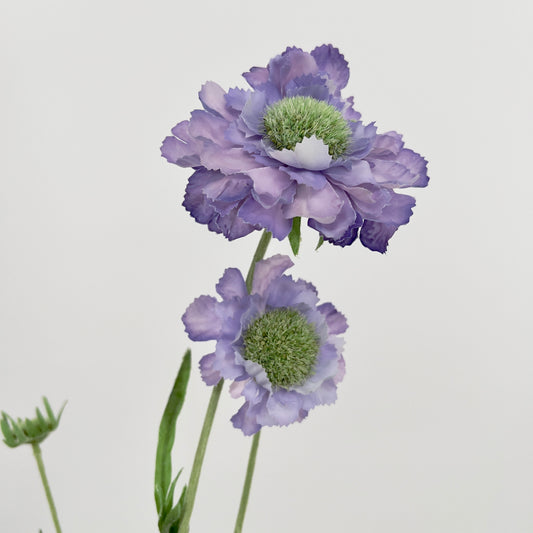 Silk-ka kunstbloem Scabiosa, 64cm