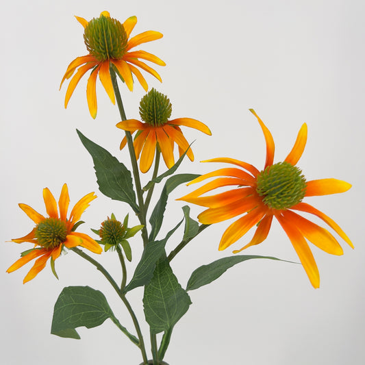 Rudbeckia/Zonnehoed spray geel en roze, 73cm