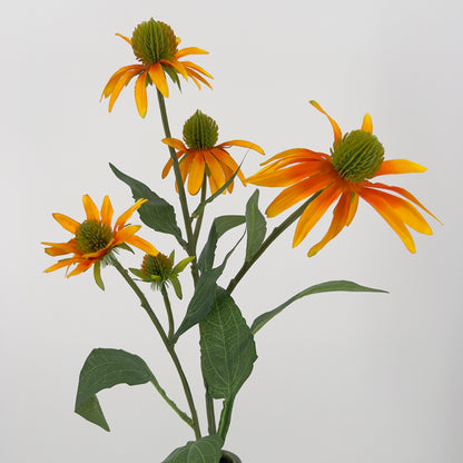 Rudbeckia/Zonnehoed spray geel en roze, 73cm