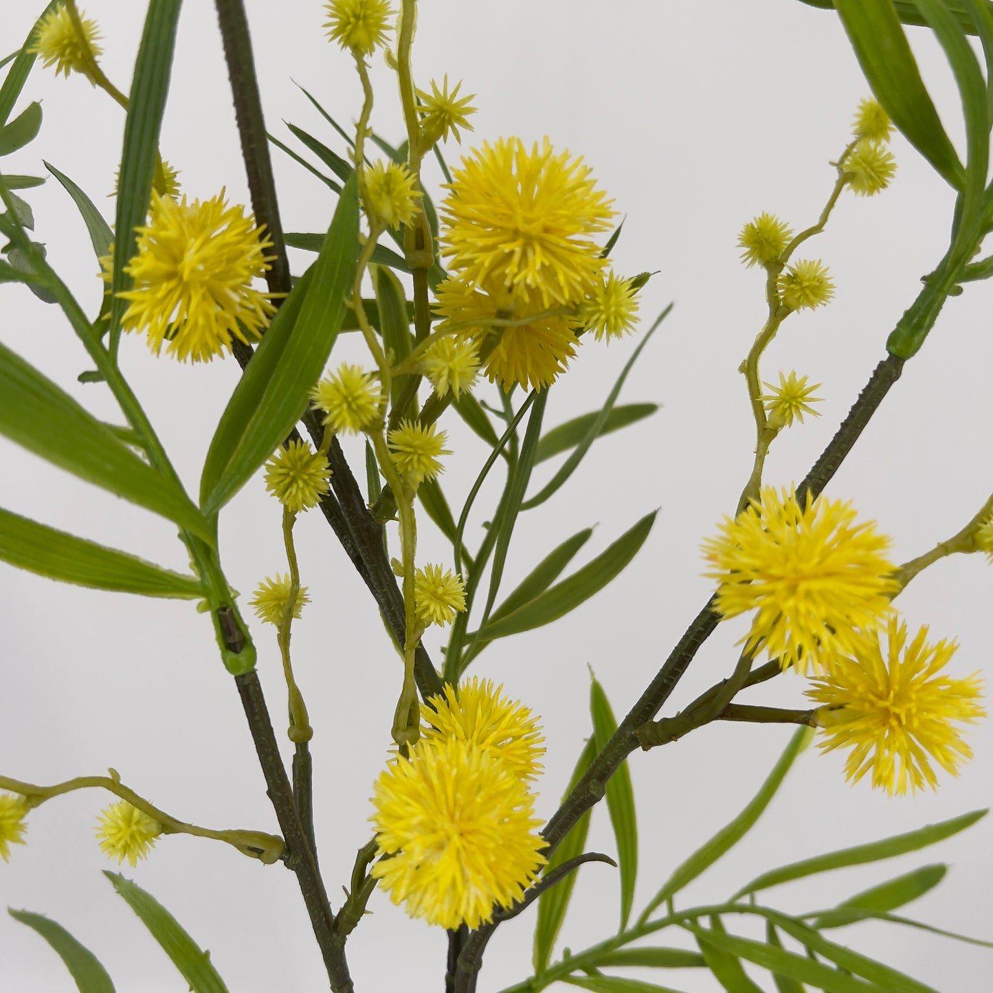 Kunsttak Mimosa spray geel, 70cm