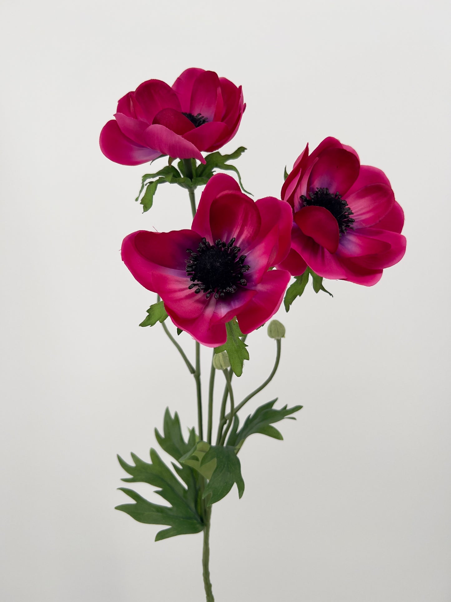 Anemoon spray met 3 grote bloemen, 75cm