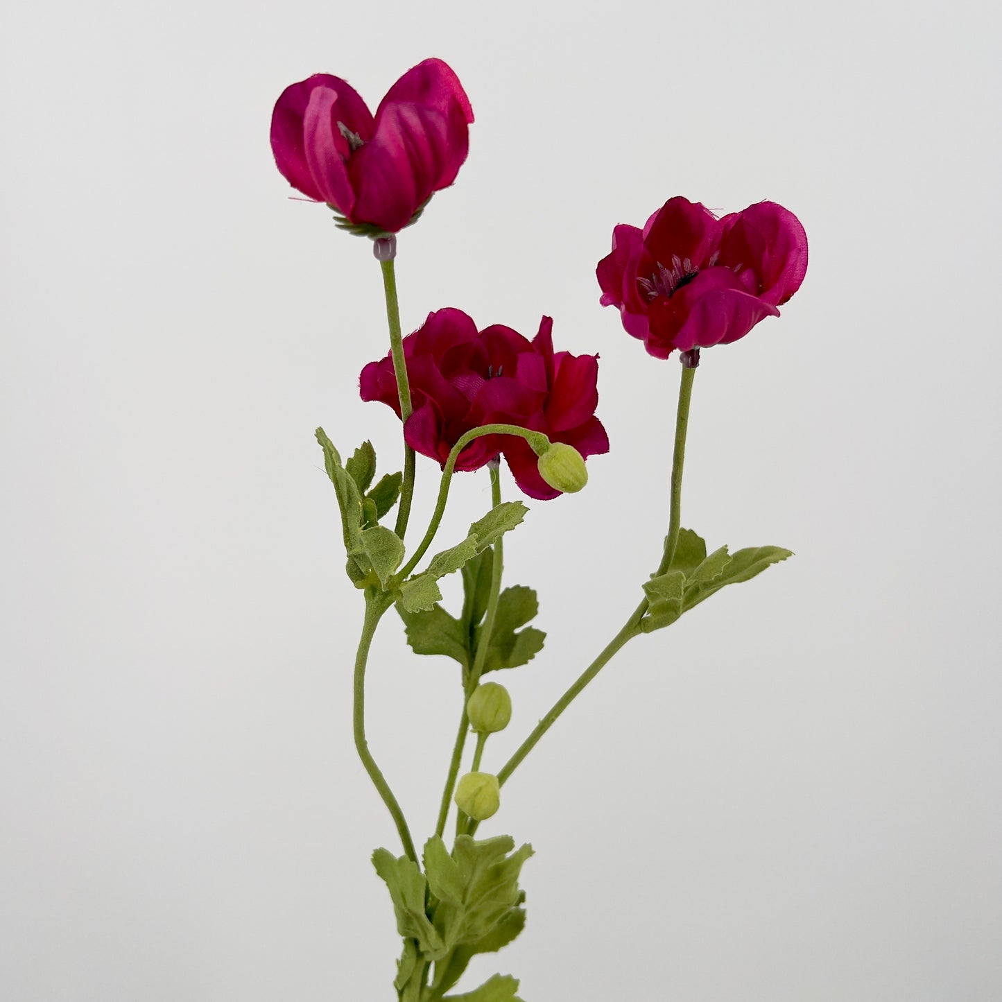 Franse Klaproos/anemoon spray in paars, wit, roze en beauty, 68 cm