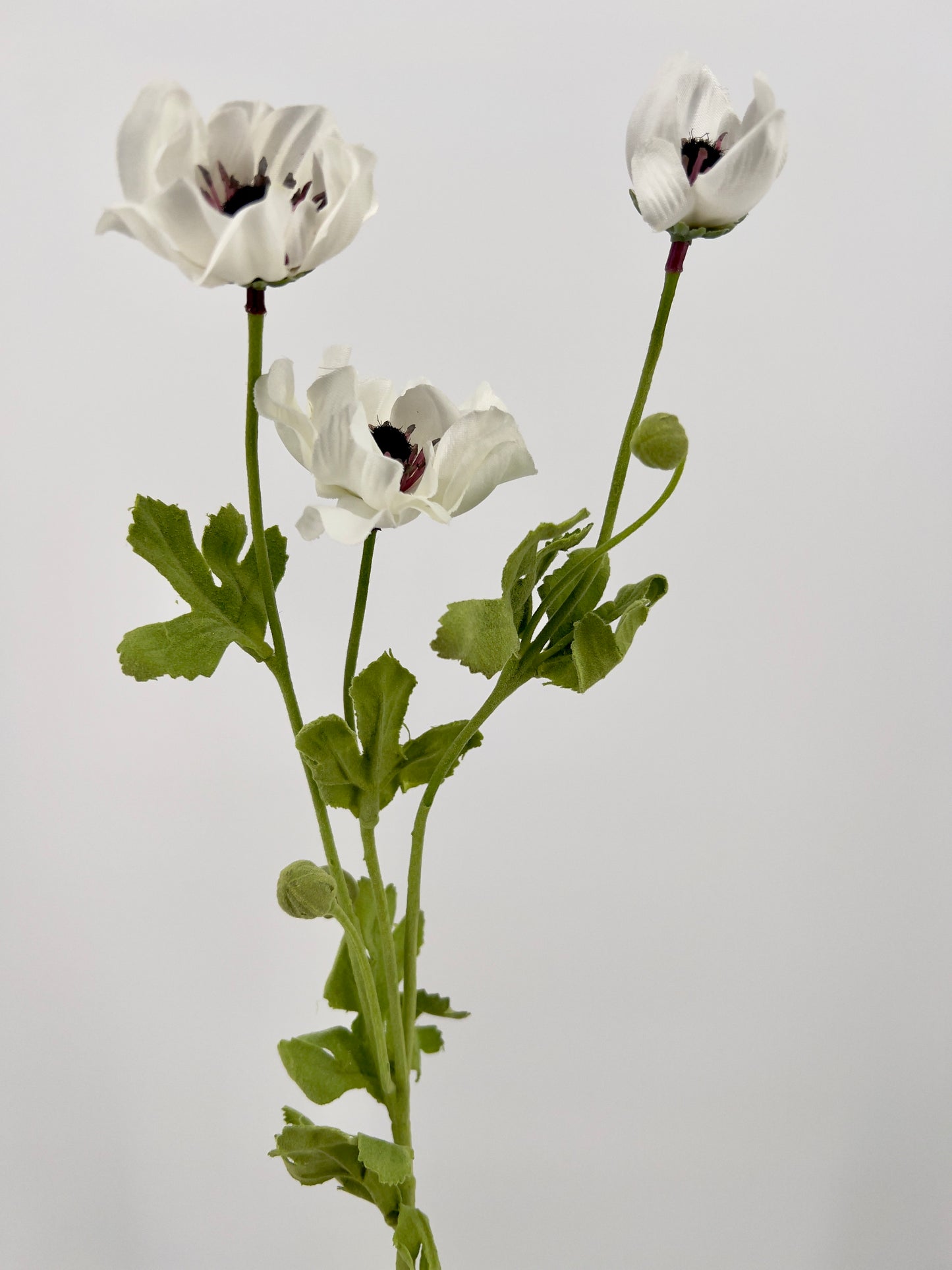 Franse Klaproos/anemoon spray in paars, wit, roze en beauty, 68 cm