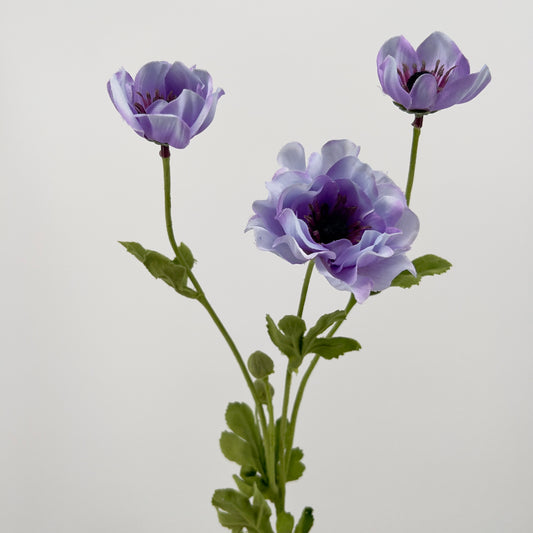 Franse Klaproos/anemoon spray in paars, wit, roze en beauty, 68 cm