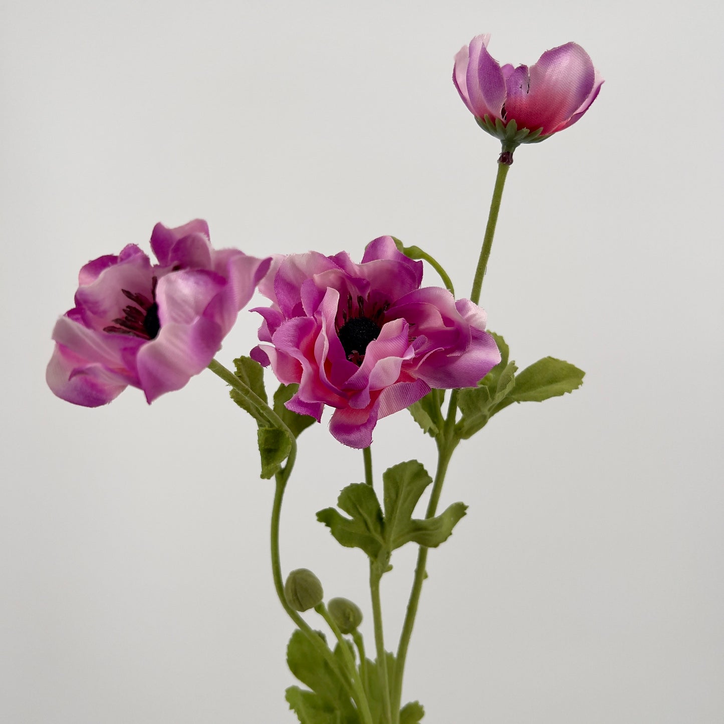 Franse Klaproos/anemoon spray in paars, wit, roze en beauty, 68 cm