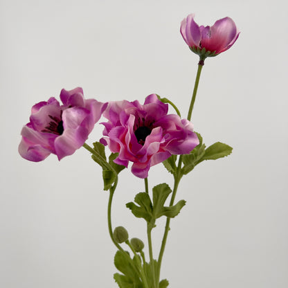 Franse Klaproos/anemoon spray in paars, wit, roze en beauty, 68 cm