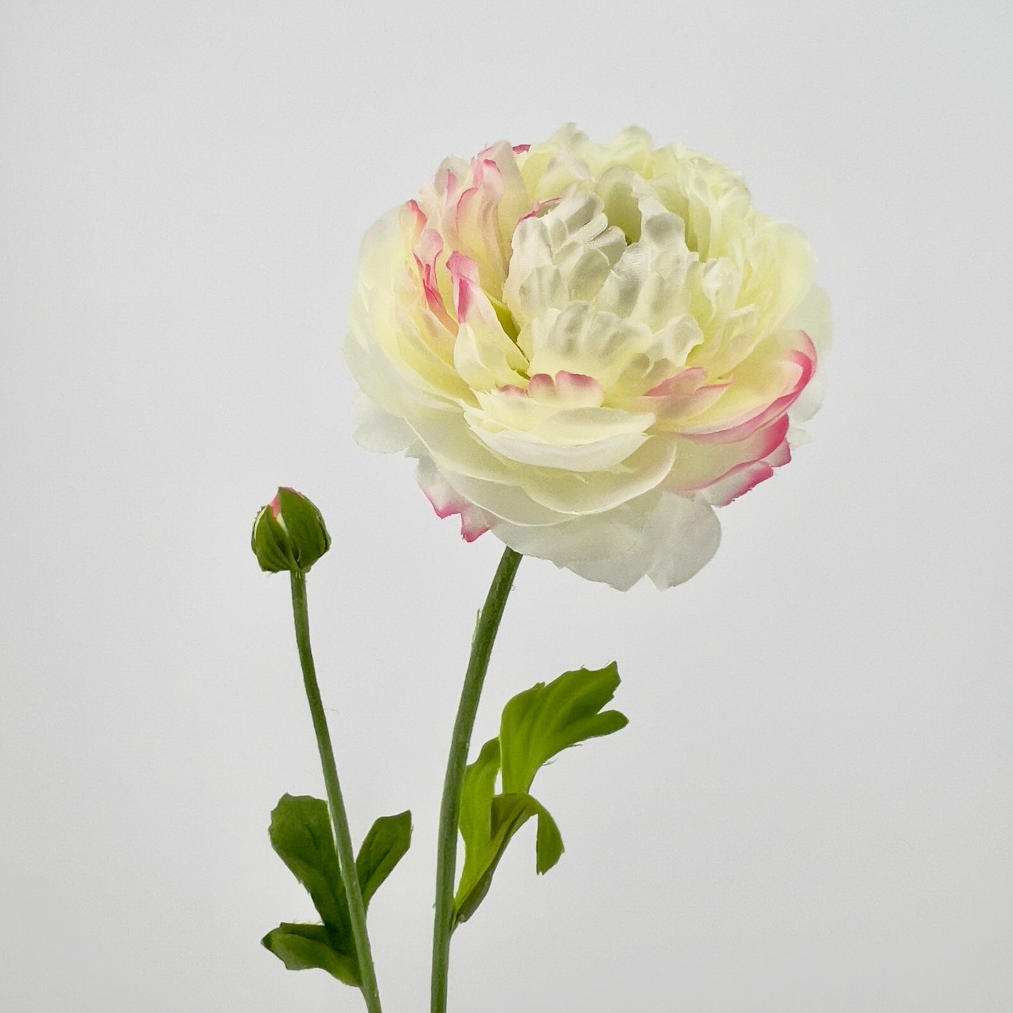 Silk-ka Ranonkel steel creme, 64cm