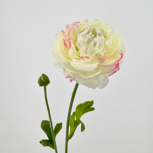 Silk-ka Ranonkel steel creme, 64cm