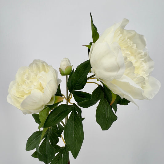 Kunsttak Pioenroos spray in roze, lichtroze of wit, 70cm