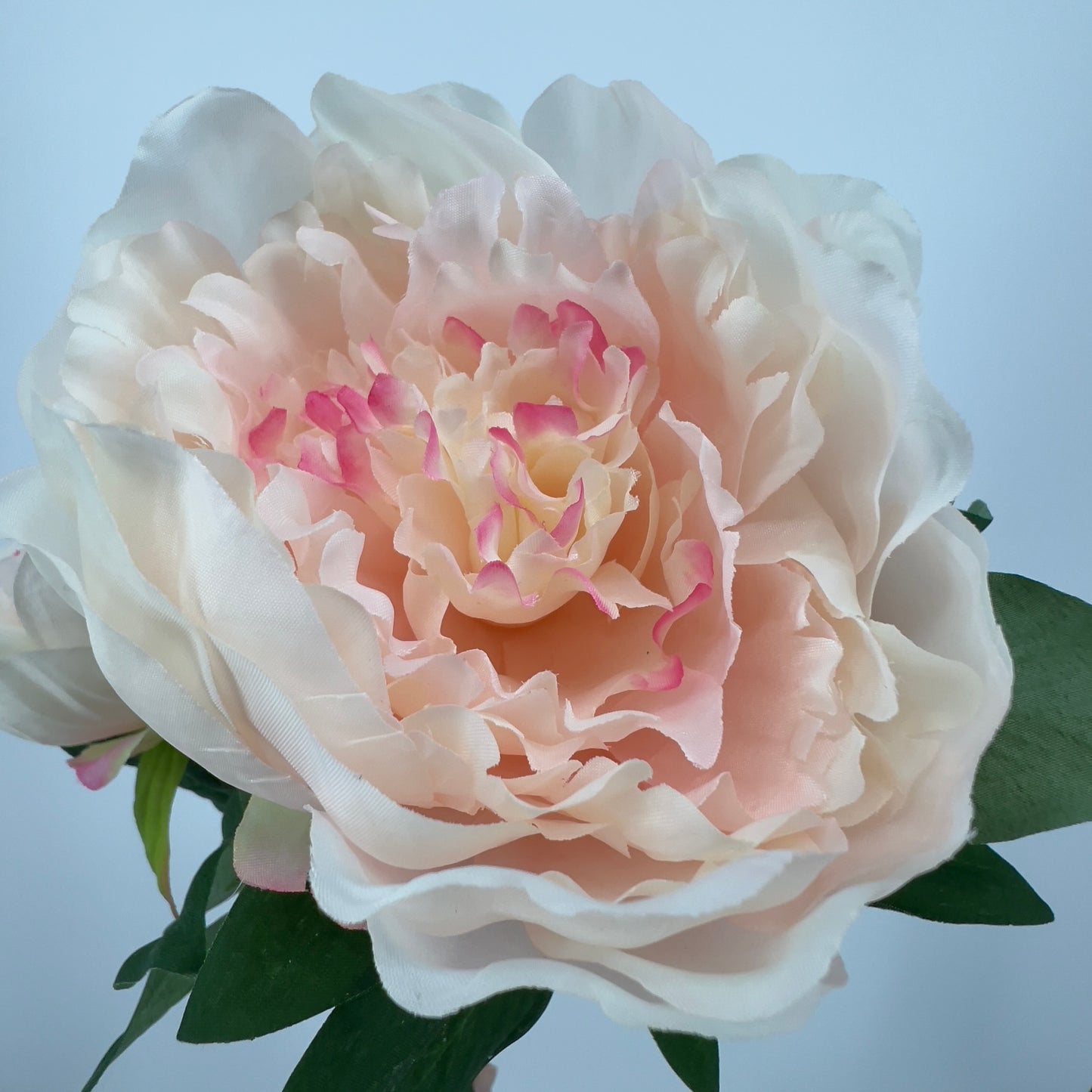 Kunsttak Pioenroos spray in roze, lichtroze of wit, 70cm