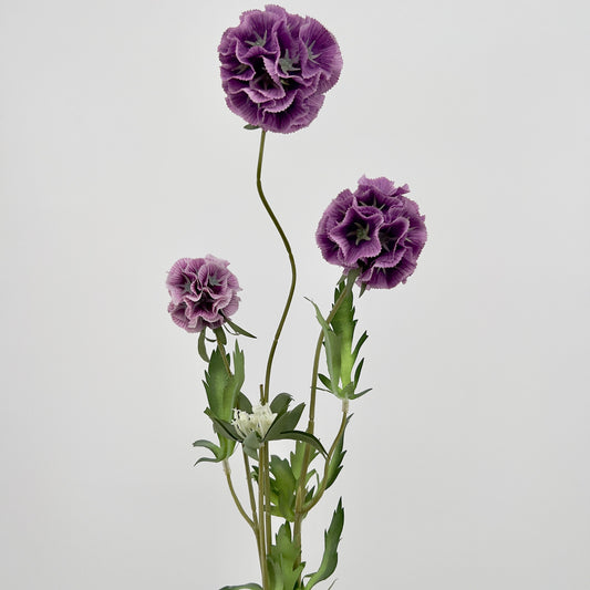 Scabiosa spray x3 paars of oud roze, 72cm