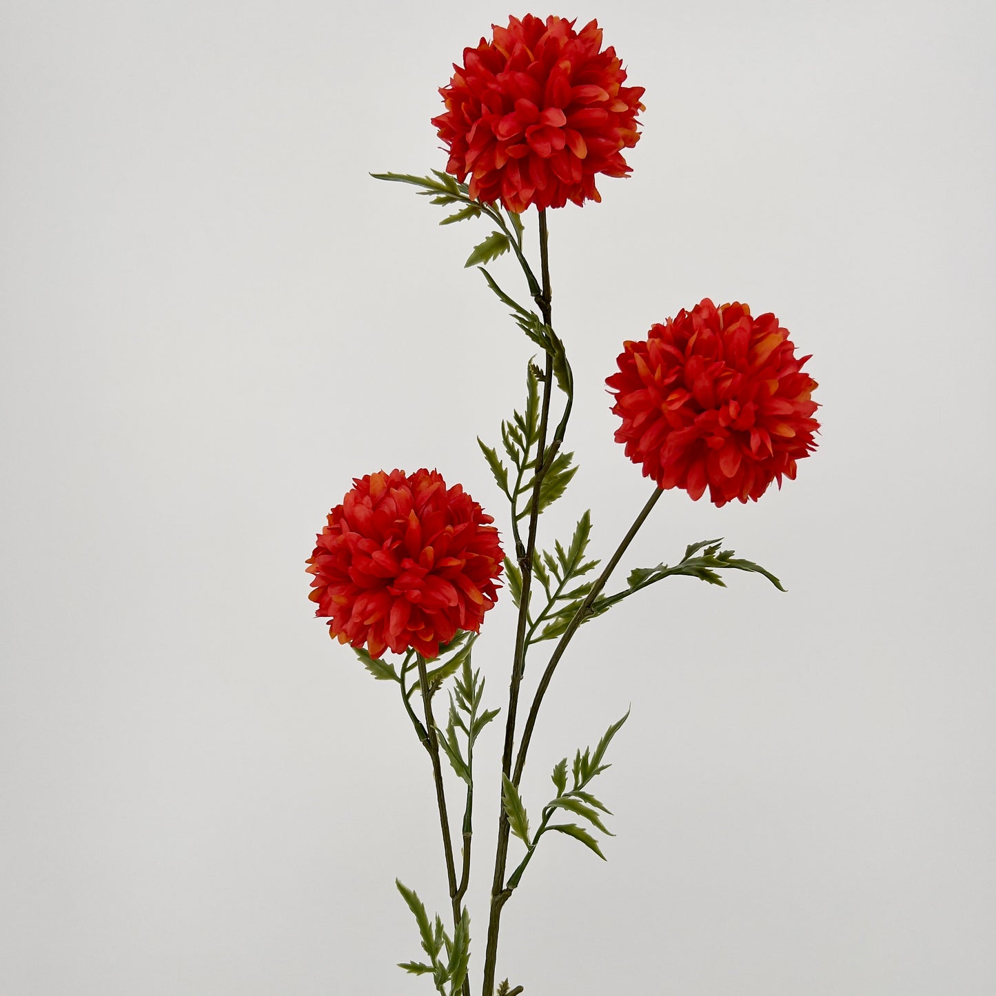 Tagetes tak 80cm geel, oranje of rood x3, 80cm