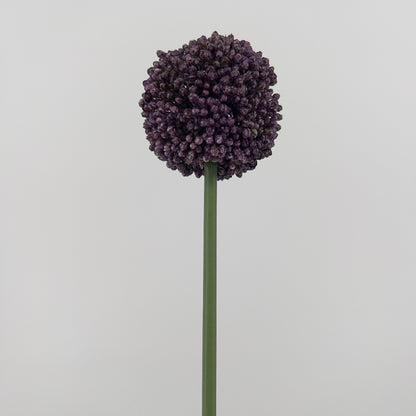 Allium spray Mura in paars of donker roze, 66cm